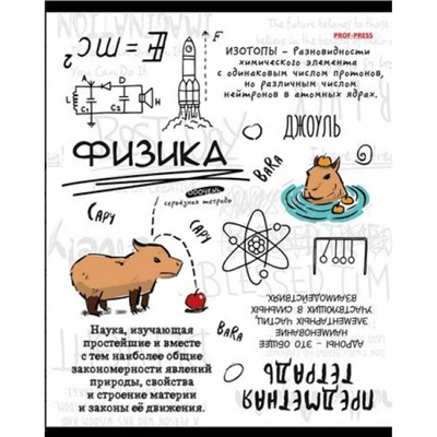 Тетрадь 48л "КАПИБАРА" по физике 48-0001 Проф-Пресс