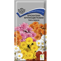 Хризантема смесь окрасок крупноцветковая (мн) (П) Цена за 5 шт.
