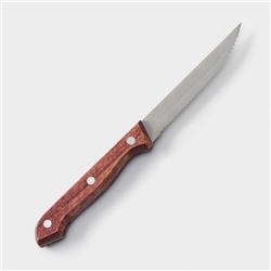 Нож для мяса и стейков Доляна Ecology, лезвие 11 см, цвет коричневый