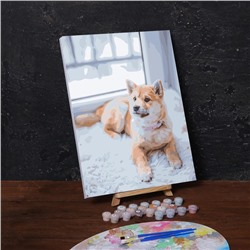 Картина по номерам на холсте с подрамником «Пёс на ковре», 40х30 см