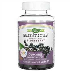 Nature's Way, Sambucus, стандартизированный экстракт бузины для детей, 60 жевательных таблеток