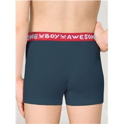 PELICAN Трусы BUHB3307(2)