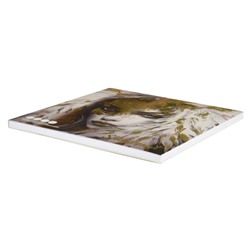 Альбом для зарисовок (скетчпад) 170х170 мм 40л твердая обложка "ДЕВУШКА" на склейке, белый офсет 120 г/м2 68263 Феникс