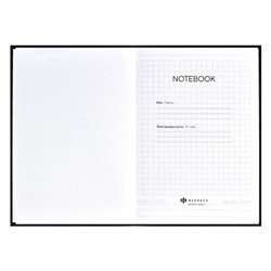 Записная книжка А6+  96л клетка ЛАЙТ "ДЕЛА-ДЕЛИШКИ" 61703 Феникс