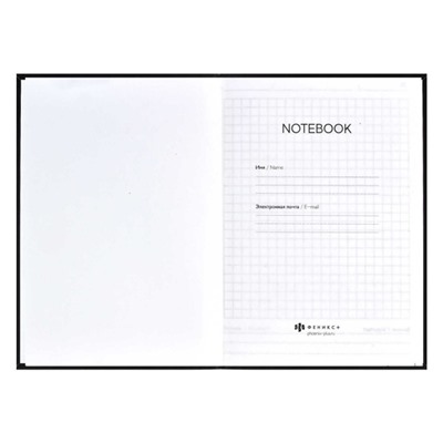 Записная книжка А6+  96л клетка ЛАЙТ "ДЕЛА-ДЕЛИШКИ" 61703 Феникс