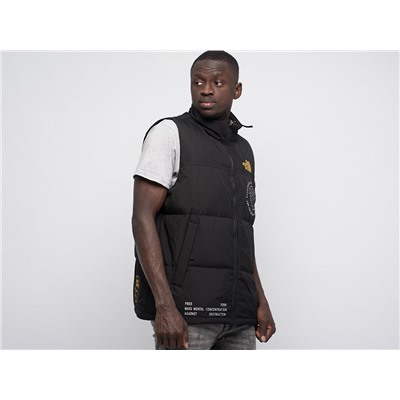 Жилет The North Face