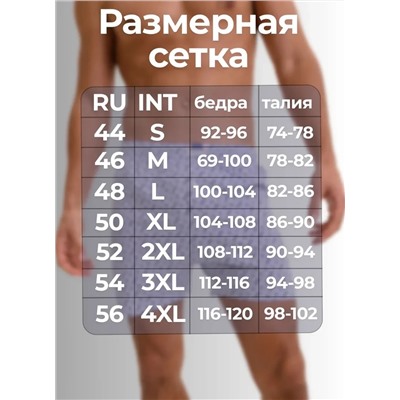 Мужские трусы семейные Berrak