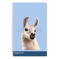 Записная книжка А5+, 100л "Альпака" застёжка-резинка
