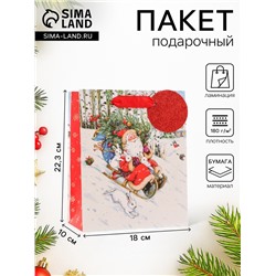 Пакет подарочный новогодний ламинированный «На санях», люкс, 18×22.3×10 см