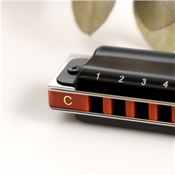 Губная гармошка Music Life T008L C диатоническая, 10 отверстий, с футляром