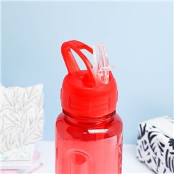 Бутылка для воды спортивная «Бараолт», 650 мл, с поильником, 24×7 см, цвет МИКС
