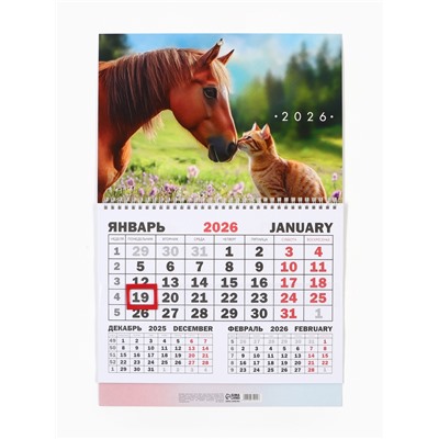 Календарь настенный квартальный 2026 «Лошадь с котенком», 30×46 см