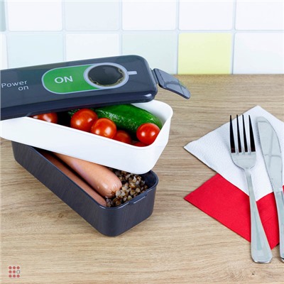 Ланч-бокс 2 секции (0, 5л+0, 5л), 19х8х9, 5см, с декором, пластик