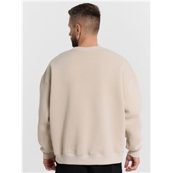 СВИТШОТ МУЖСКОЙ 121866/1