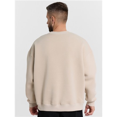 СВИТШОТ МУЖСКОЙ 121866/1