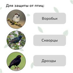 Сетка садовая, мягкая, 10×2 м, ячейка 8×8 мм, от птиц, Greengo