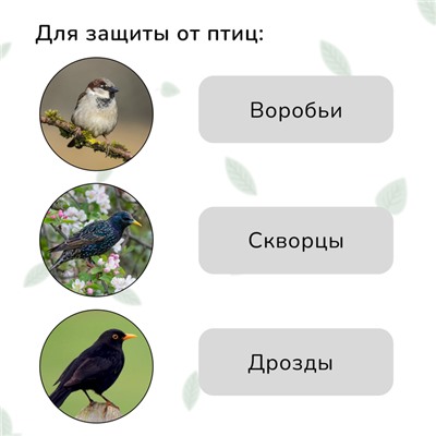 Сетка садовая, мягкая, 10×2 м, ячейка 8×8 мм, от птиц, Greengo