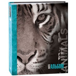 Фотоальбом 10х15 на 200 фотографий  IA-200PP серия 265 Тигр Image Art