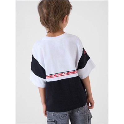 Фуфайка трикотажная для мальчиков (футболка)