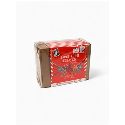 Подарочный набор гифтбокс «Новогодний подарок»: термостакан, чай, леденец, драже, молочный шоколад.