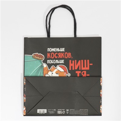 Пакет подарочный новогодний «Косяки наше всё», 22×22×11 см