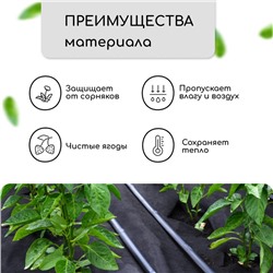 Материал мульчирующий, 10 × 3,2 м, плотность 80 г/м², спанбонд с УФ-стабилизатором, чёрный, Greengo, Эконом 30%
