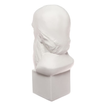 Гипсовая фигура известные люди: Бюст Салтыкова-Щедрина 20×9.5×10.5 см