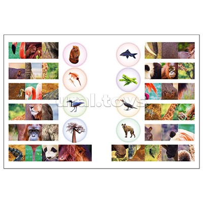 Мир животных с наклейками. Кто живёт в зоопарке?