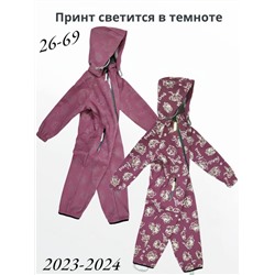 Комбинезон 2023-2024