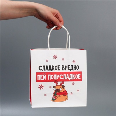 Набор пакетов подарочных новогодних «Пусть мечты сбудутся», 6 шт., 22×22×11 см