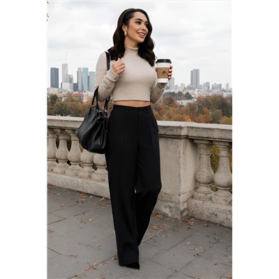 Брюки Брайн (черные) Б13889-33М