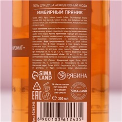 Подарочный набор новогодний «Чудес и подарков»: гель для душа и пена для ванны, 2×300 мл, Чистое счастье