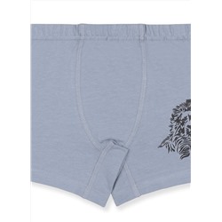 Трусы для мальчика Baykar