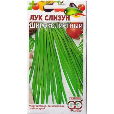 Лук слизун Широколистный (Код: 4864)