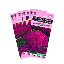 Набор семян Астра игольчато-коготковая "Джувел Аметист",  однолетняя, 5 шт.