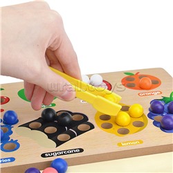 Игра развивающая "Фруктики"
