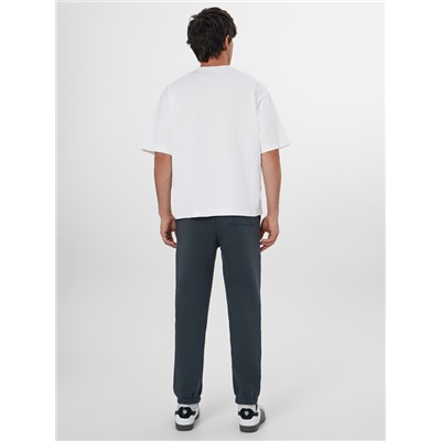 ДЖОГГЕРЫ МУЖСКИЕ 181263