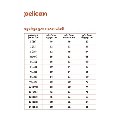 Лонгслив PELICAN, 889670