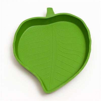 Кормушка для террариума, 15.4×12.4×1.8 см, зелёный