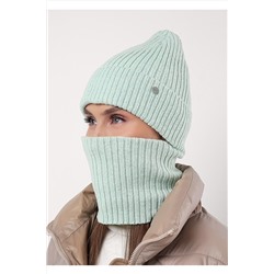 Комплект (Шапка+Снуд) CLEVER, 1068676