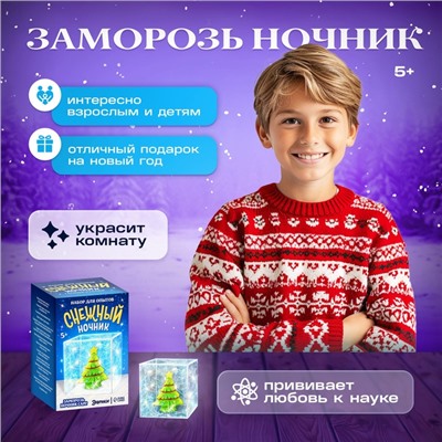 Набор для опытов «Снежный ночник: Ёлочка», своими руками
