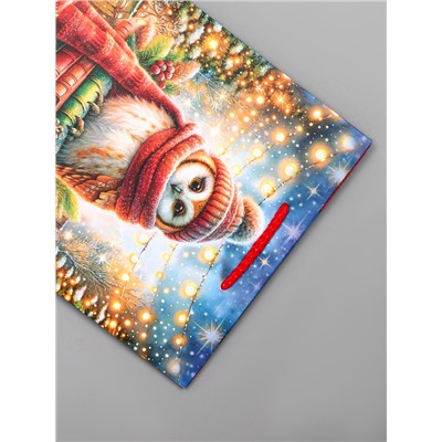 Пакет подарочный новогодний ламинированный, «Сова», 18×10×22.3 см