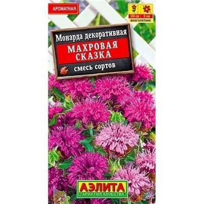 Монарда Махровая Сказка Аэлита