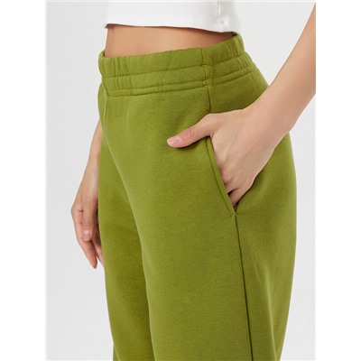 БРЮКИ ЖЕНСКИЕ 382420