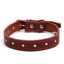 Ошейник кожаный «Строгий шип», 70×3.5 см, ОШ 45-60 см, коричневый