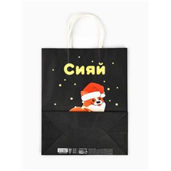 Пакет бумажный подарочный новогодний крафт «Сияй», 27×21×11 см