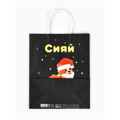 Пакет бумажный подарочный новогодний крафт «Сияй», 27×21×11 см