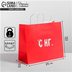 Пакет подарочный новогодний крафт «С НГ», 25×22×12 см