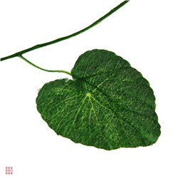 Растение искусственное "Лиана" 2,3-2,4 м. средний лист, арт 4