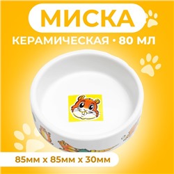 Миска для грызунов «Лакомство», 80 мл, 8.5×3 см, керамика, белая